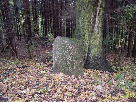 Kámen, který měl plnit funkci prostého náhrobku. Na kmeni stromu dobře patrná jizva po zásahu bleskem.