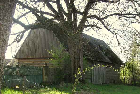 roubená stodola s vymazávanými trámy