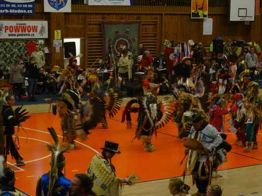 Tanec je základní složkou všech obřadů u všech indiánských kmenů Severní Ameriky. Kmeny mají různé tance, ale všichni Indiáni přesně vědí, k čemu slouží. Některé tance mají hluboké kořeny a legendární původ. Indiáni tančili velmi rádi a taneční kroky často určovaly dávné kmenové zvyky. Každý z tanců měl jakéhosi „strážce tanců“. Tito strážci předávali tance z generace na generaci. Ve své podstatě Indiáni ukazovali při tancích to, co se odehrávalo nejen v nich samých, ale i kolem nich. Tanečníci předváděli zvířata, události, nadpřirozené věci, vrtěli se, vyskakovali a často hrabali jako koně nebo bizoni. Tanečníci se pohybovali v rytmu bubnování, které pro Indiány symbolizuje srdeční puls a základní rytmy veškerého života.